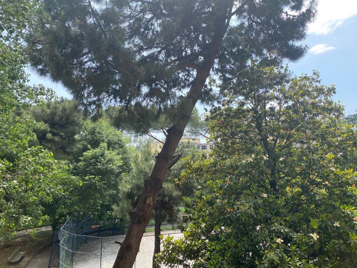 Oasi Verde Hotel Napoli Bagian luar foto